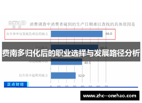 费南多归化后的职业选择与发展路径分析