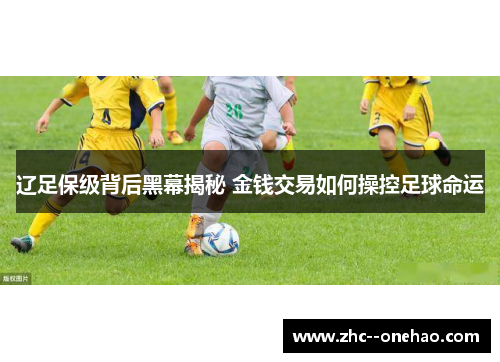 辽足保级背后黑幕揭秘 金钱交易如何操控足球命运 辽足保级背后黑幕揭秘 金钱交易如何操控足球命运