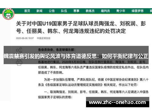 魏震禁赛引发的舆论风波与体育道德反思：如何平衡纪律与公正